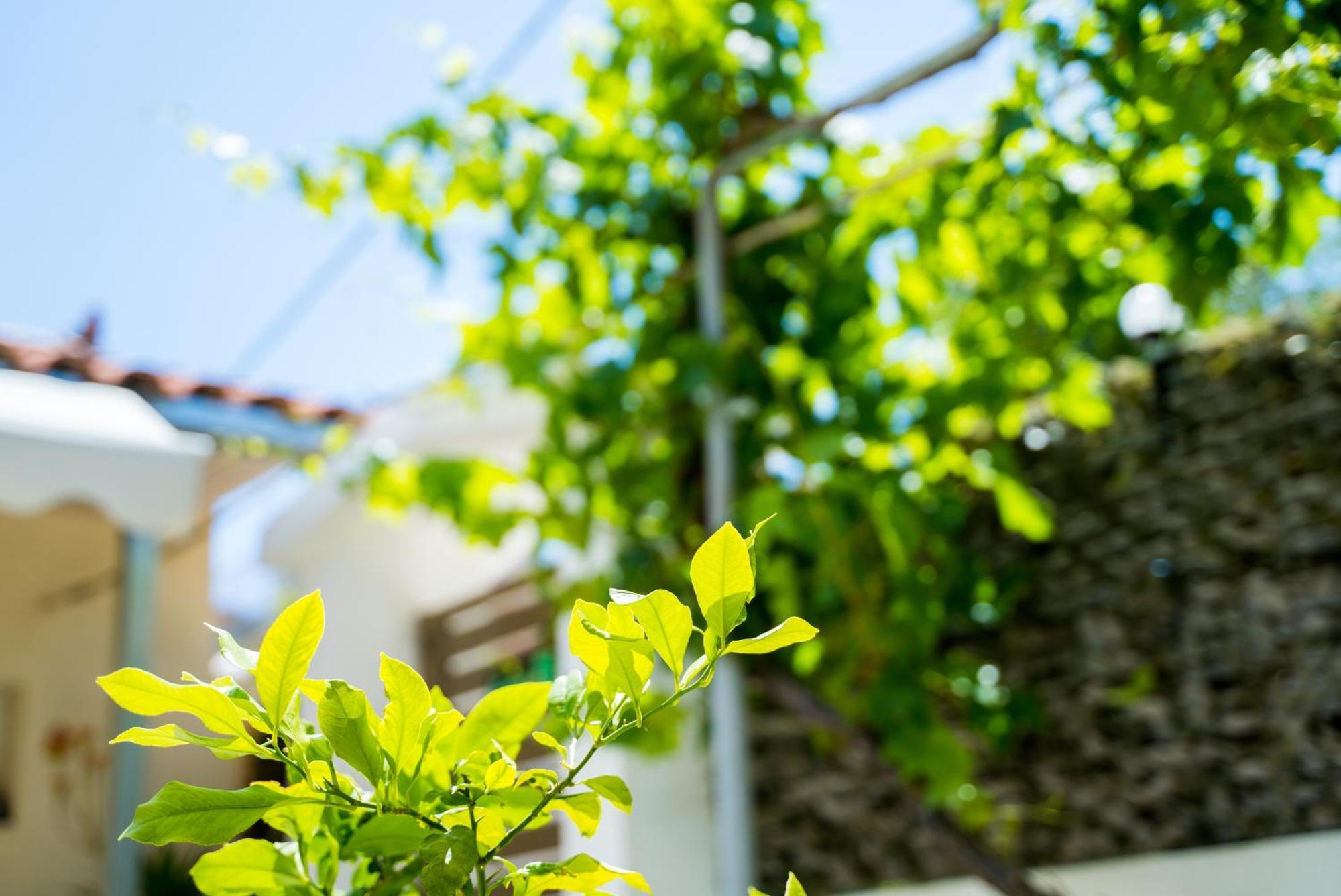 The Dreamhouse Athens Airport Appartement Artemida  Buitenkant foto